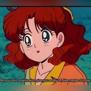 Meet your Posher, Sydney